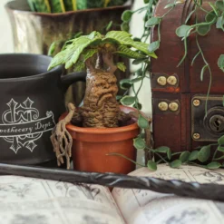Alraune - Harry Potter Magische Tierwesen Figur