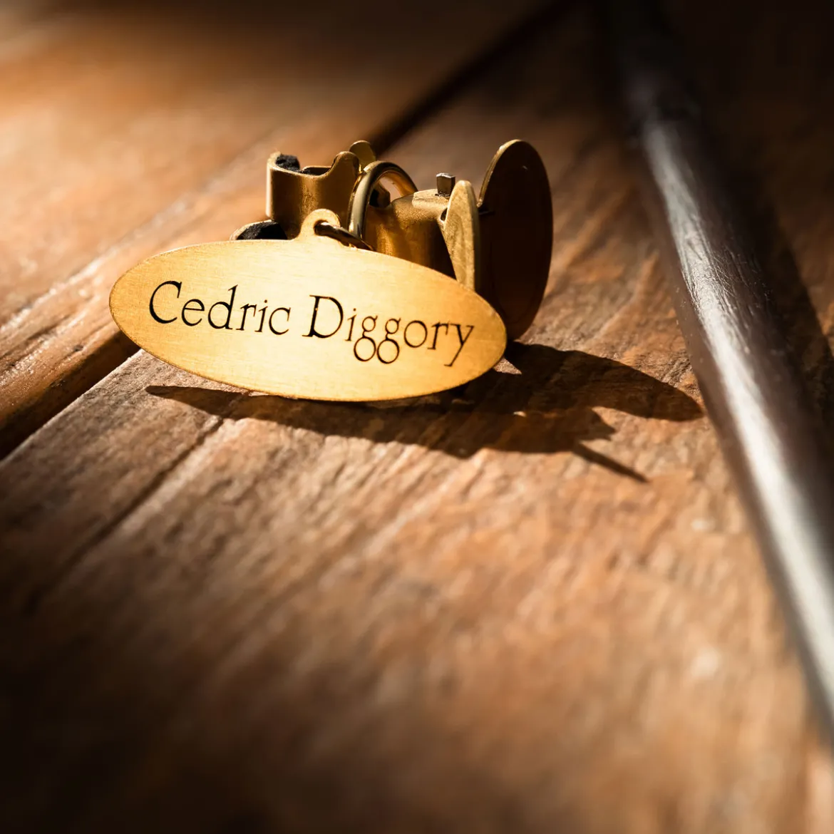 Cedric Diggory Zauberstab - Charakter Edition