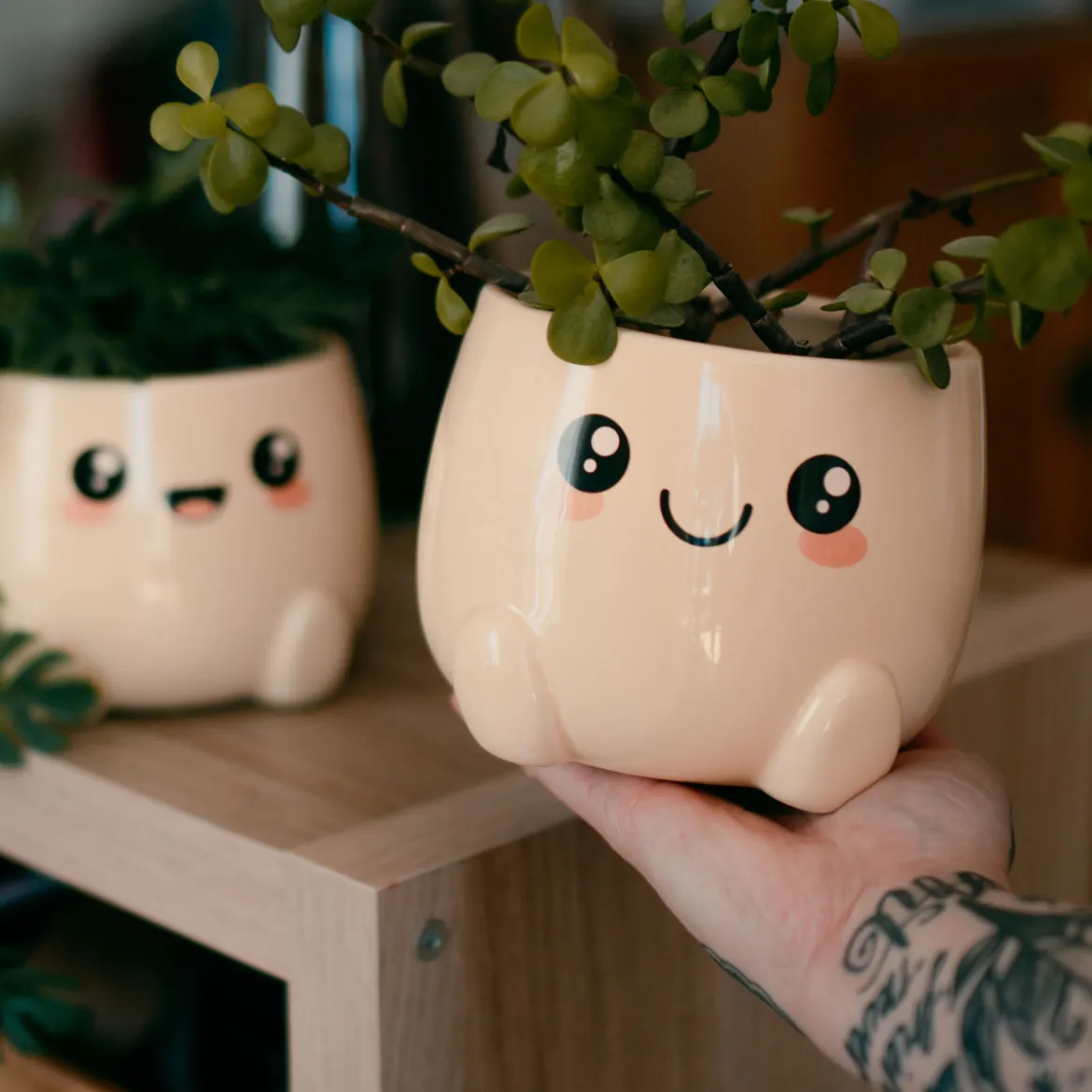 Chibi Chow Blumentöpfe 2er Set