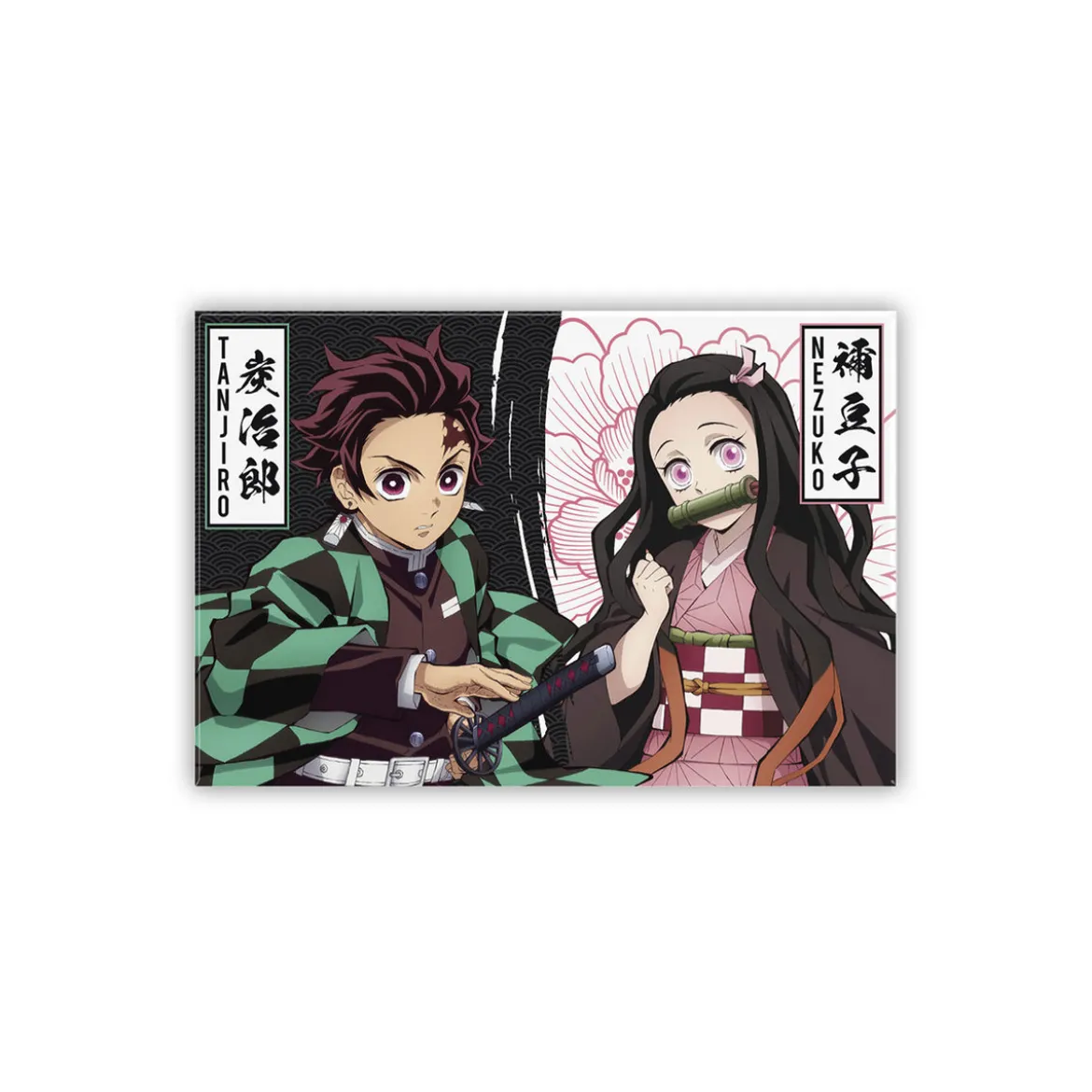 Demon Slayer - Tanjiro und Nezuko Magnet