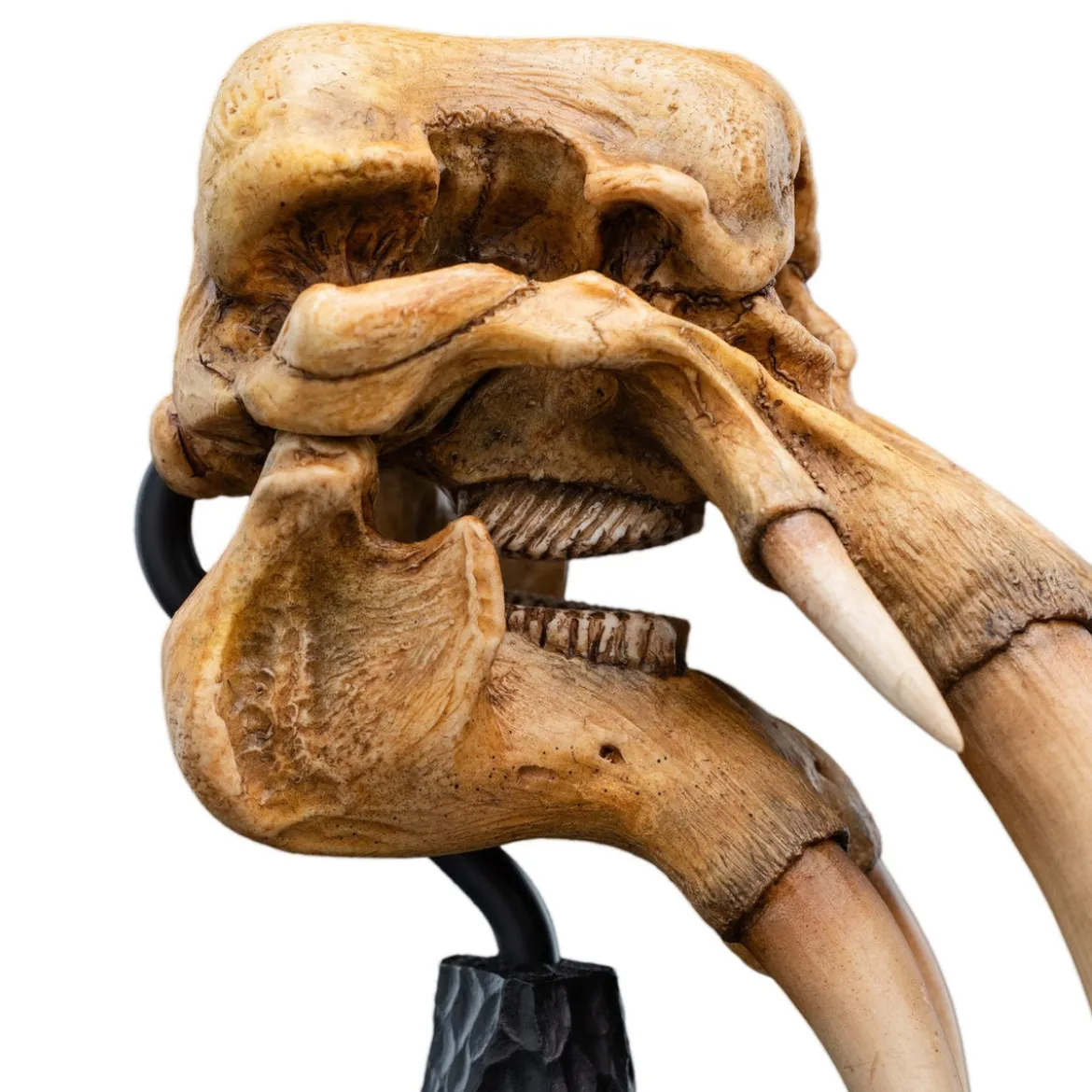 Der Herr der Ringe - Skull of a Mumak Mini Statue