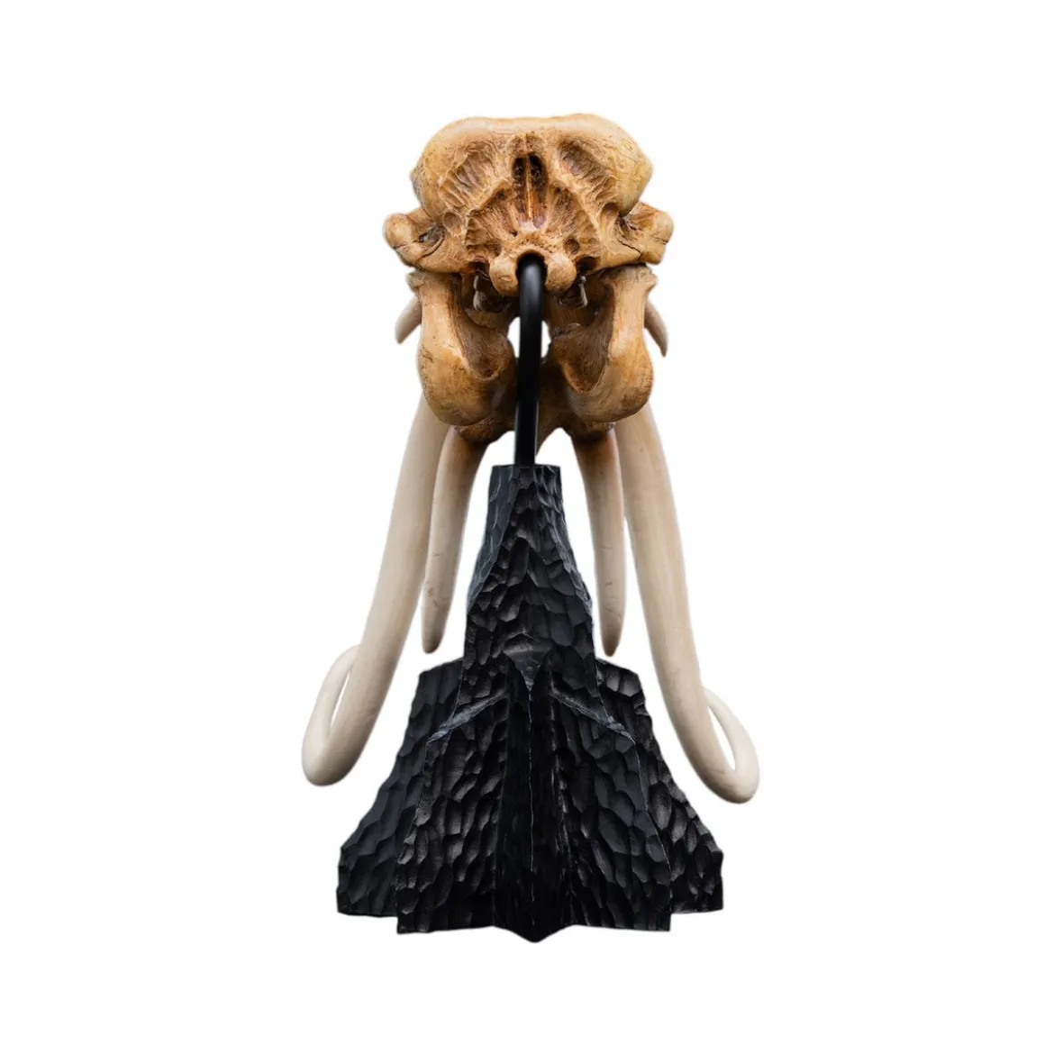 Der Herr der Ringe - Skull of a Mumak Mini Statue