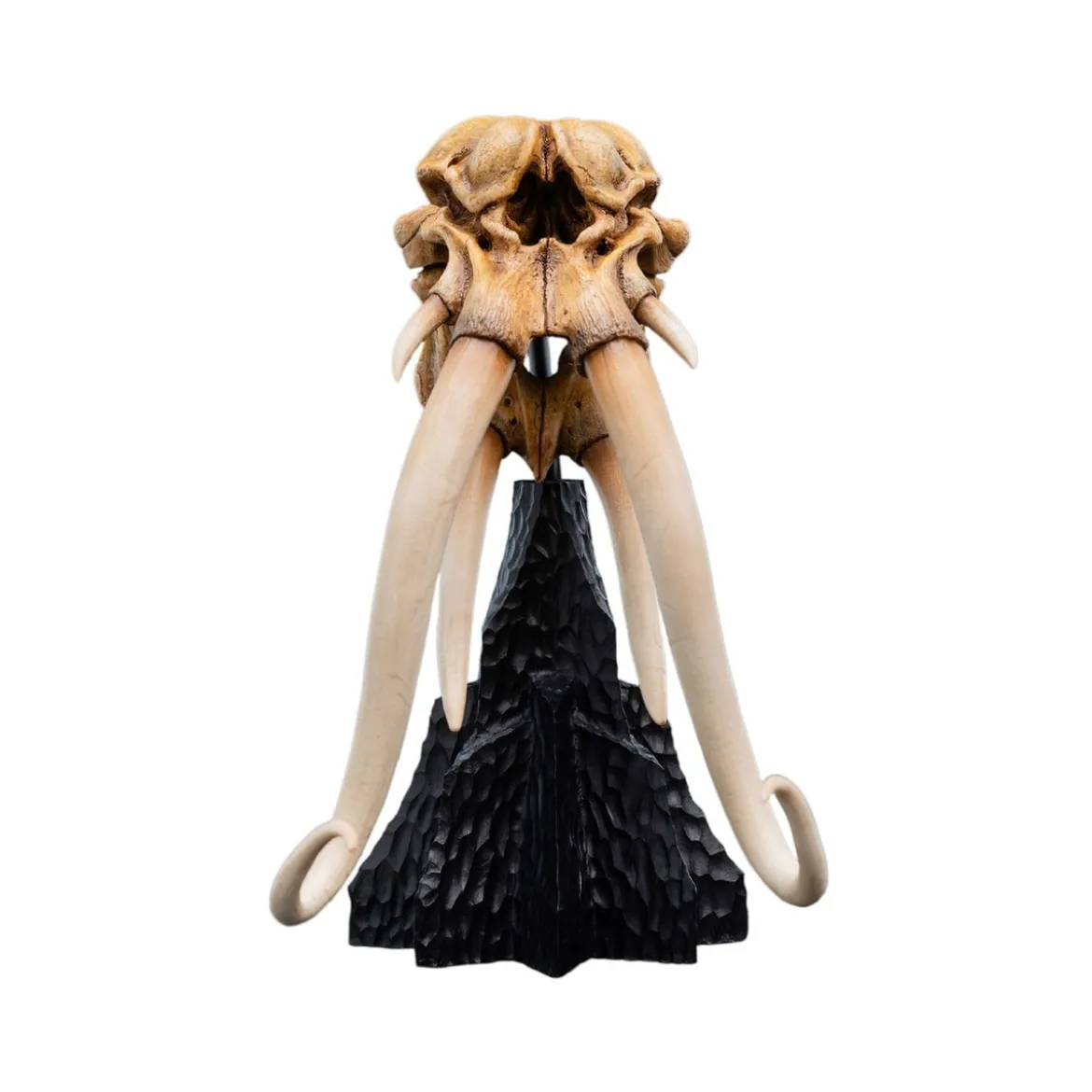 Der Herr der Ringe - Skull of a Mumak Mini Statue
