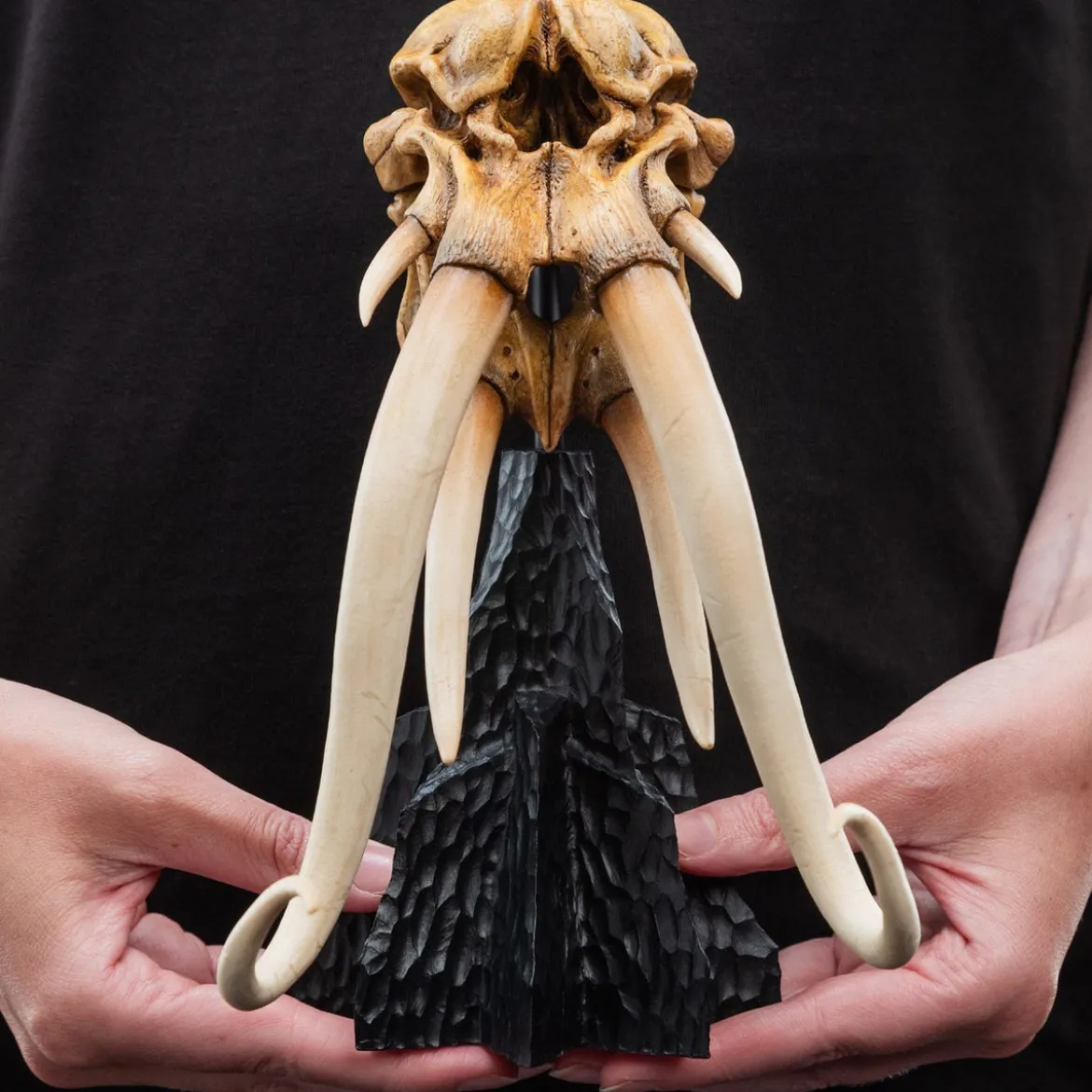 Der Herr der Ringe - Skull of a Mumak Mini Statue