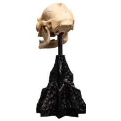 Der Herr der Ringe - Skull of Lurtz Mini Statue
