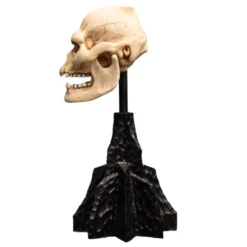 Der Herr der Ringe - Skull of Lurtz Mini Statue