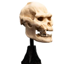 Der Herr der Ringe - Skull of Lurtz Mini Statue