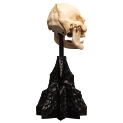 Der Herr der Ringe - Skull of Lurtz Mini Statue