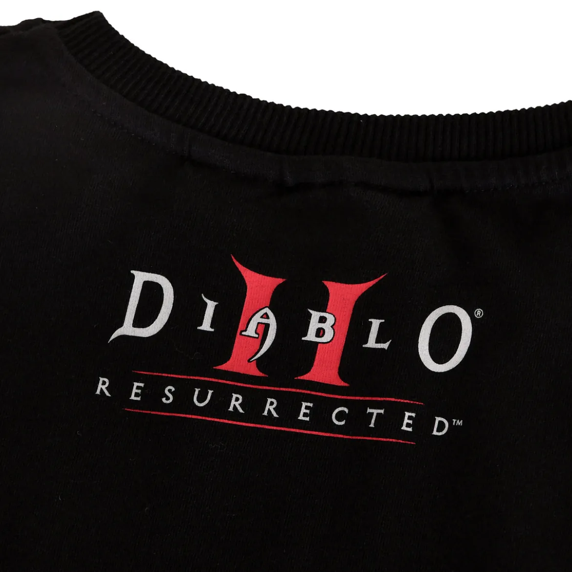 Diablo - Skull T-Shirt schwarz