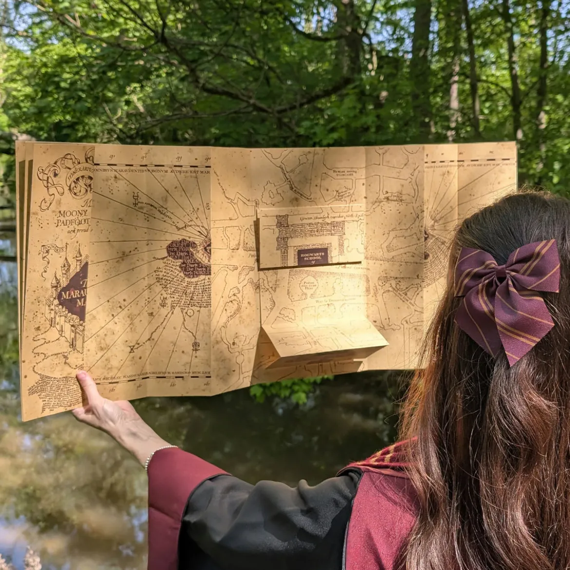 Die Karte des Rumtreibers