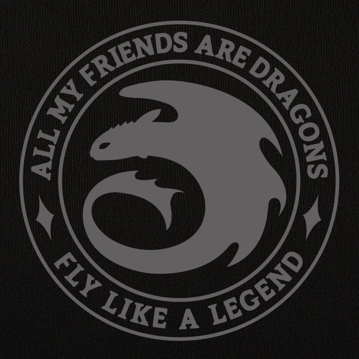 Drachenzähmen leicht gemacht - Night Fury Legend Hoodie schwarz
