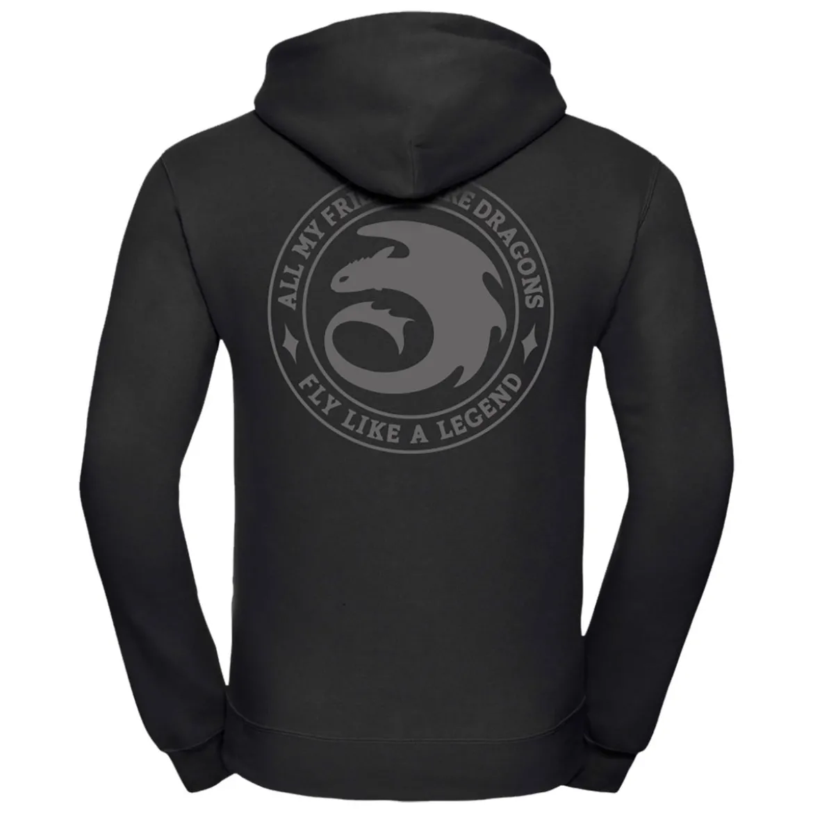 Drachenzähmen leicht gemacht - Night Fury Legend Hoodie schwarz