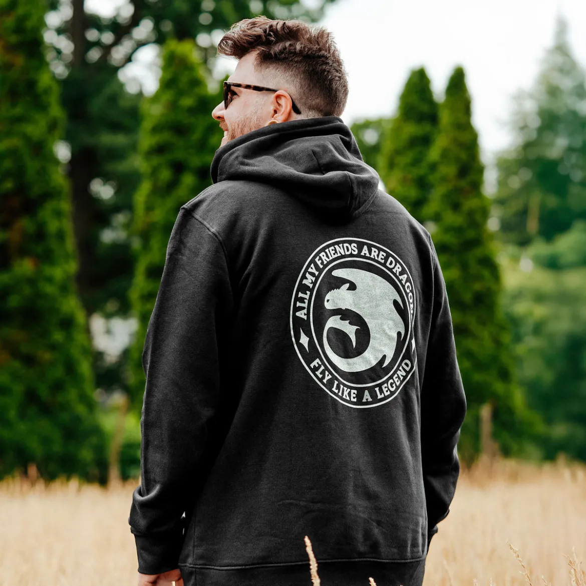 Drachenzähmen leicht gemacht - Night Fury Legend Hoodie schwarz