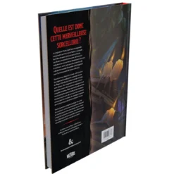 Dungeons & Dragons RPG Le Chaudron des Merveilles de Tasha französisch