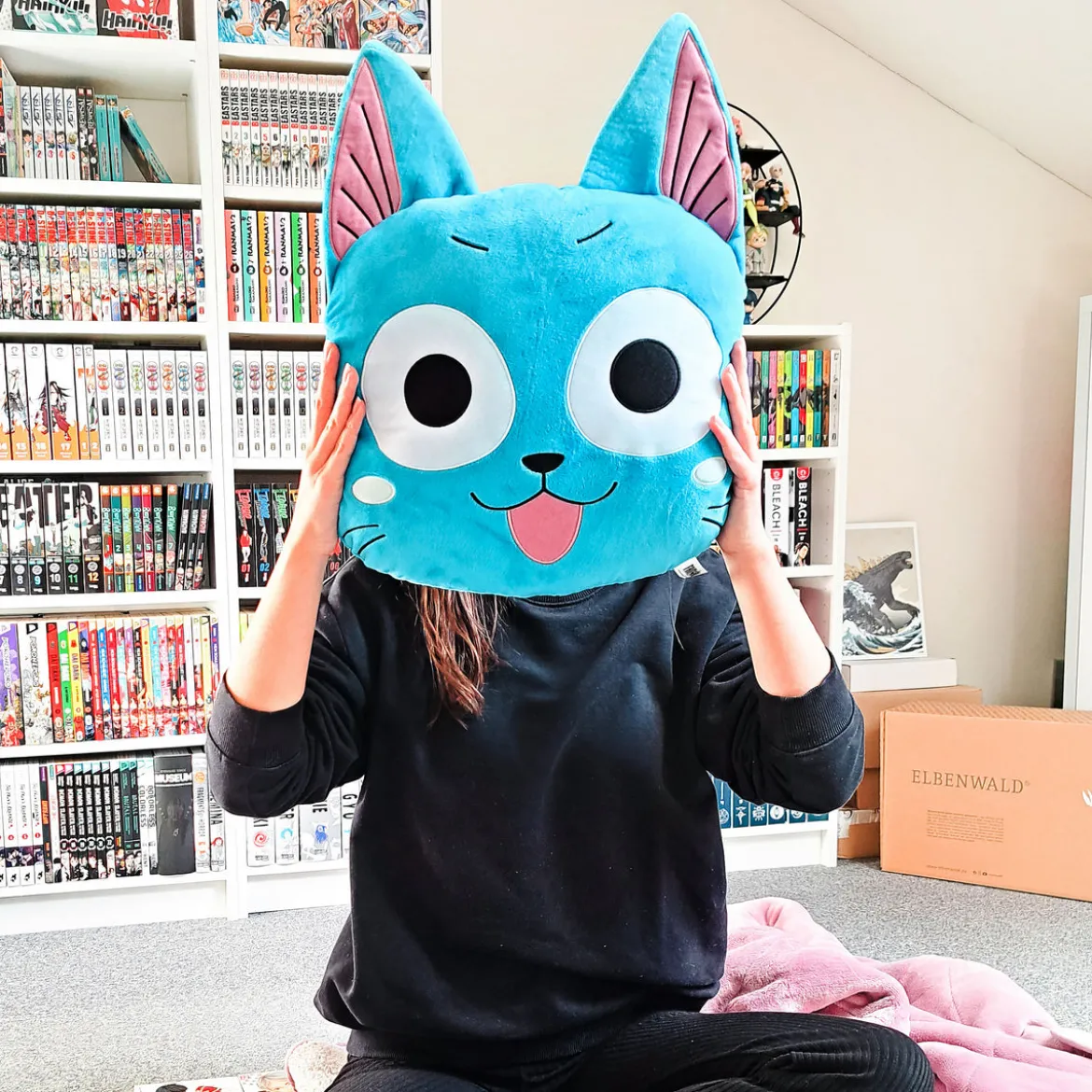 Fairy Tail - Happy Kissen