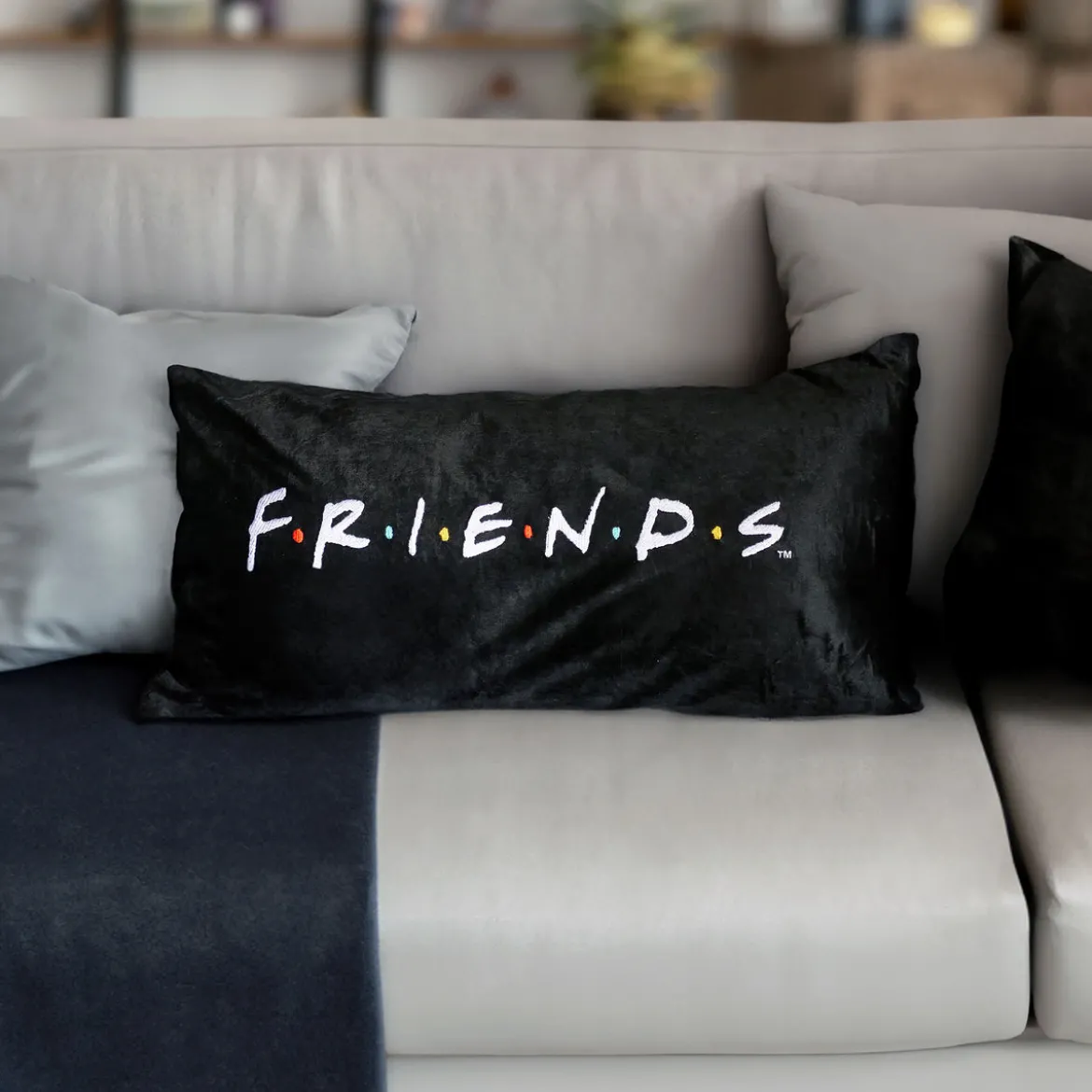 Friends - Logo Kissen