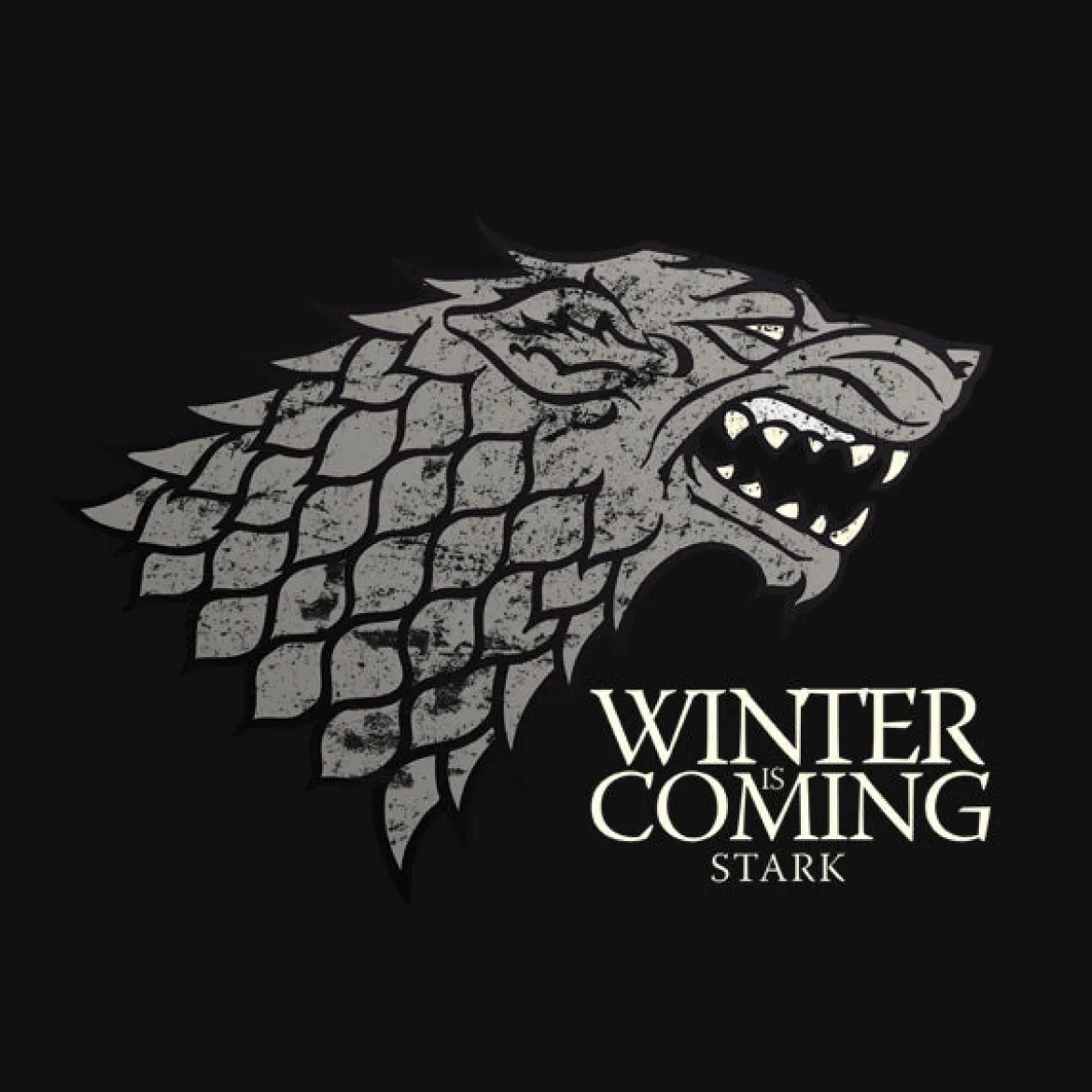 Game of Thrones - House Stark T-Shirt