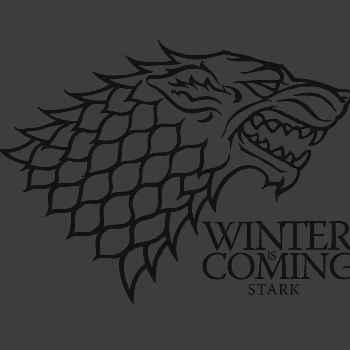 Game of Thrones - Winter is Coming T-Shirt