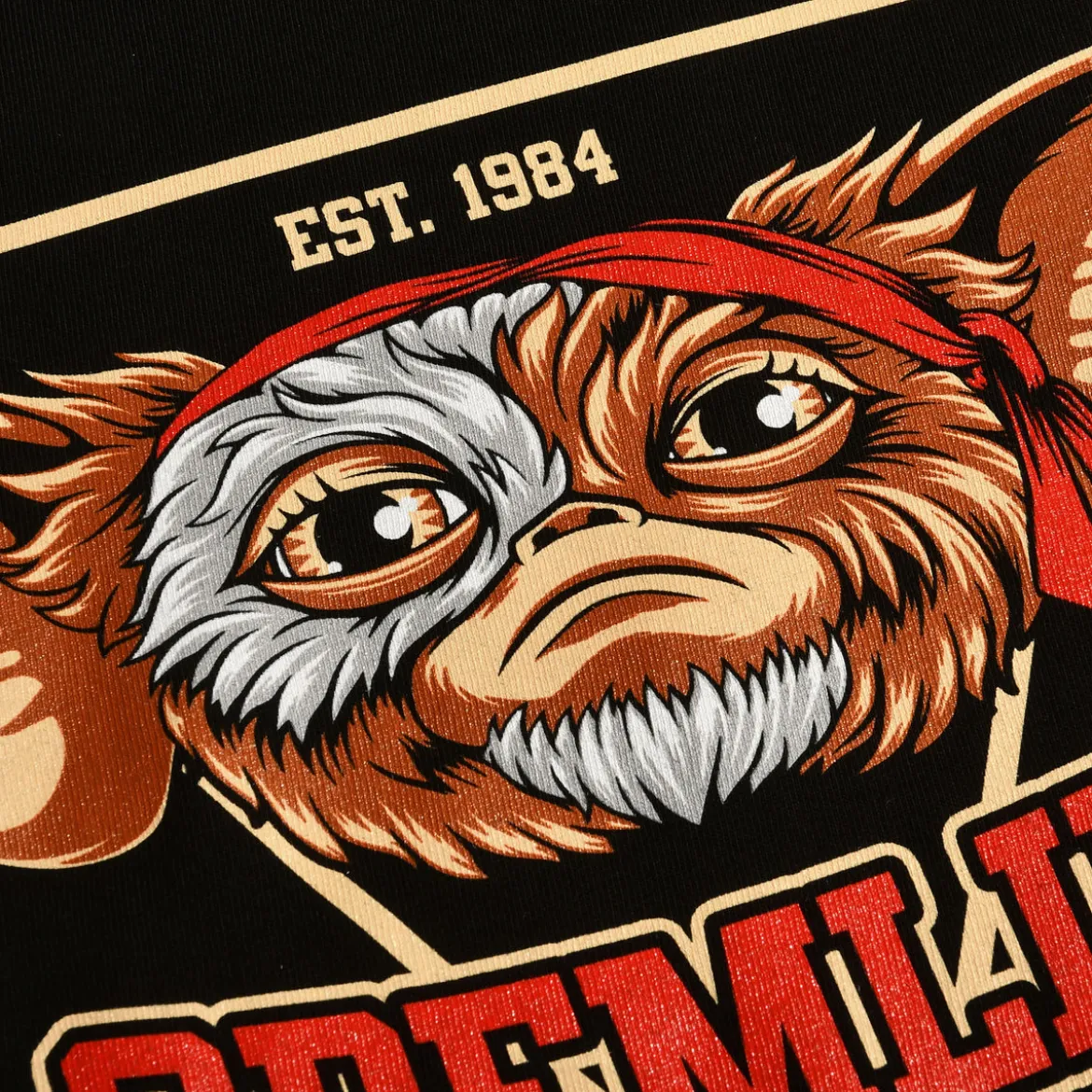 Gremlins Est. 1984 T-Shirt schwarz