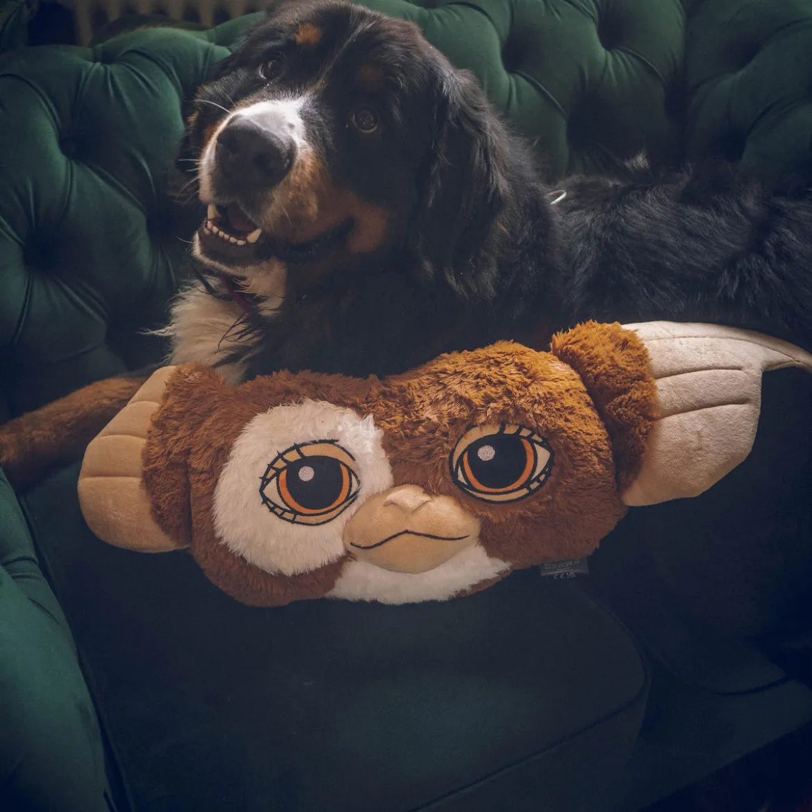 Gremlins - Gizmo Plüsch Kissen