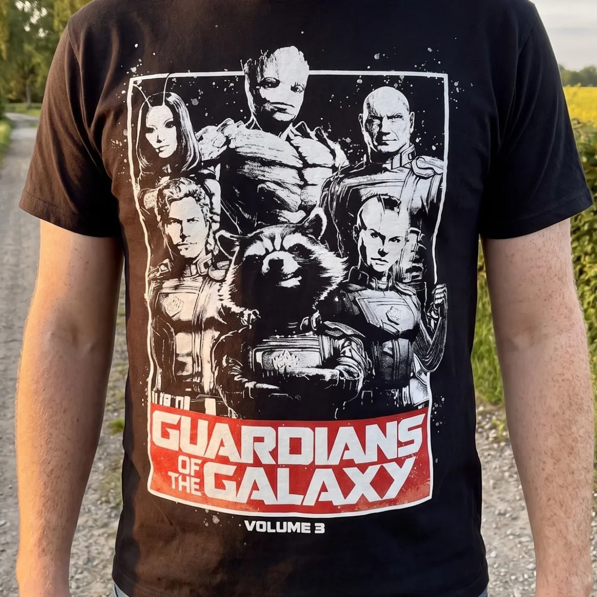 Guardians Vol. 3 T-Shirt schwarz - Guardians of the Galaxy