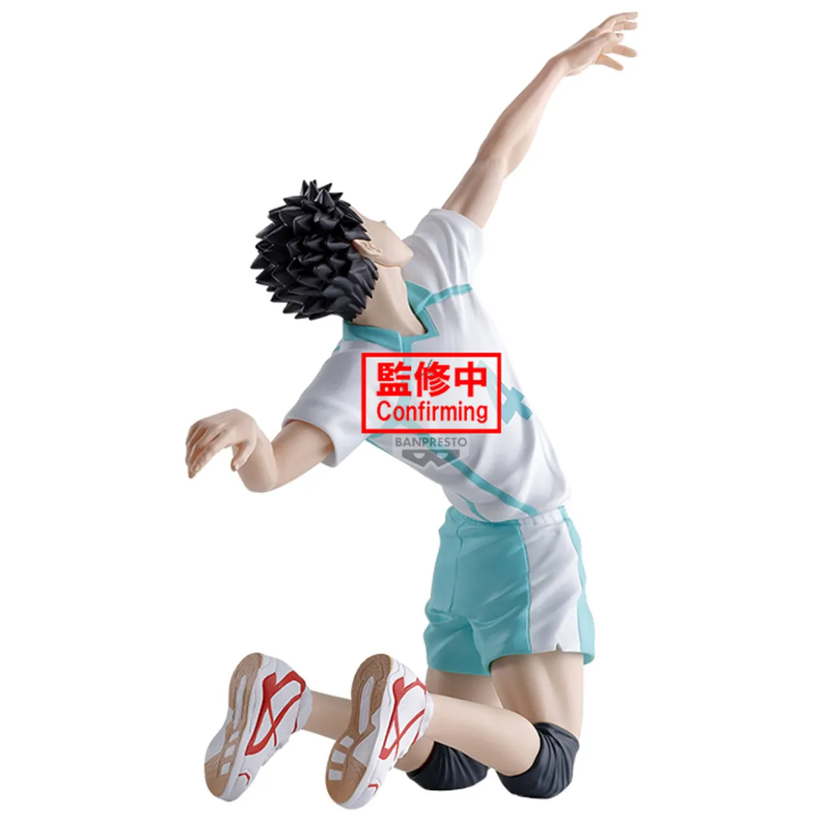 Haikyu! - Hajime Iwaizumi Posing Figur
