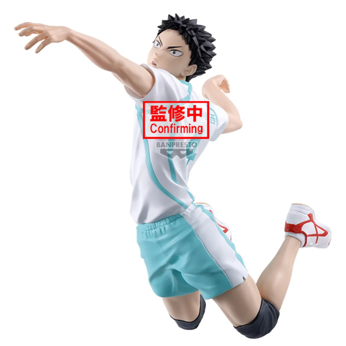 Haikyu! - Hajime Iwaizumi Posing Figur