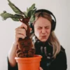 Harry Potter - Alraune Plüsch Figur mit Sound 35 cm