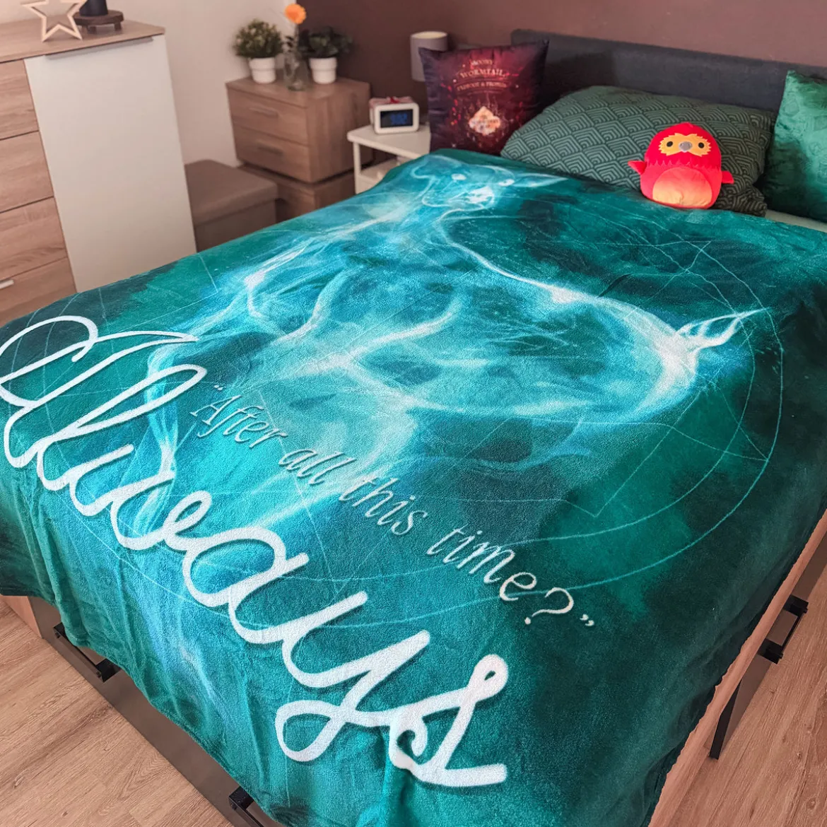 Harry Potter - Always Flauschdecke