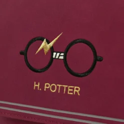 Harry Potter - Brille und Blitz Mini Rucksack