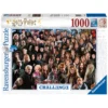 Harry Potter - Characters Challenge Puzzle