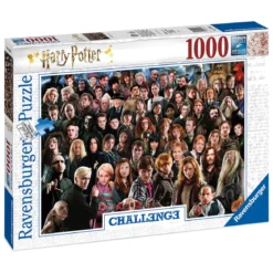 Harry Potter - Characters Challenge Puzzle