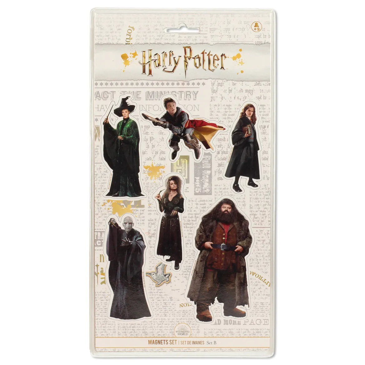 Harry Potter - Characters Magnet-Set 6-teilig