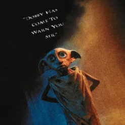 Harry Potter - Dobby Poster T-Shirt schwarz