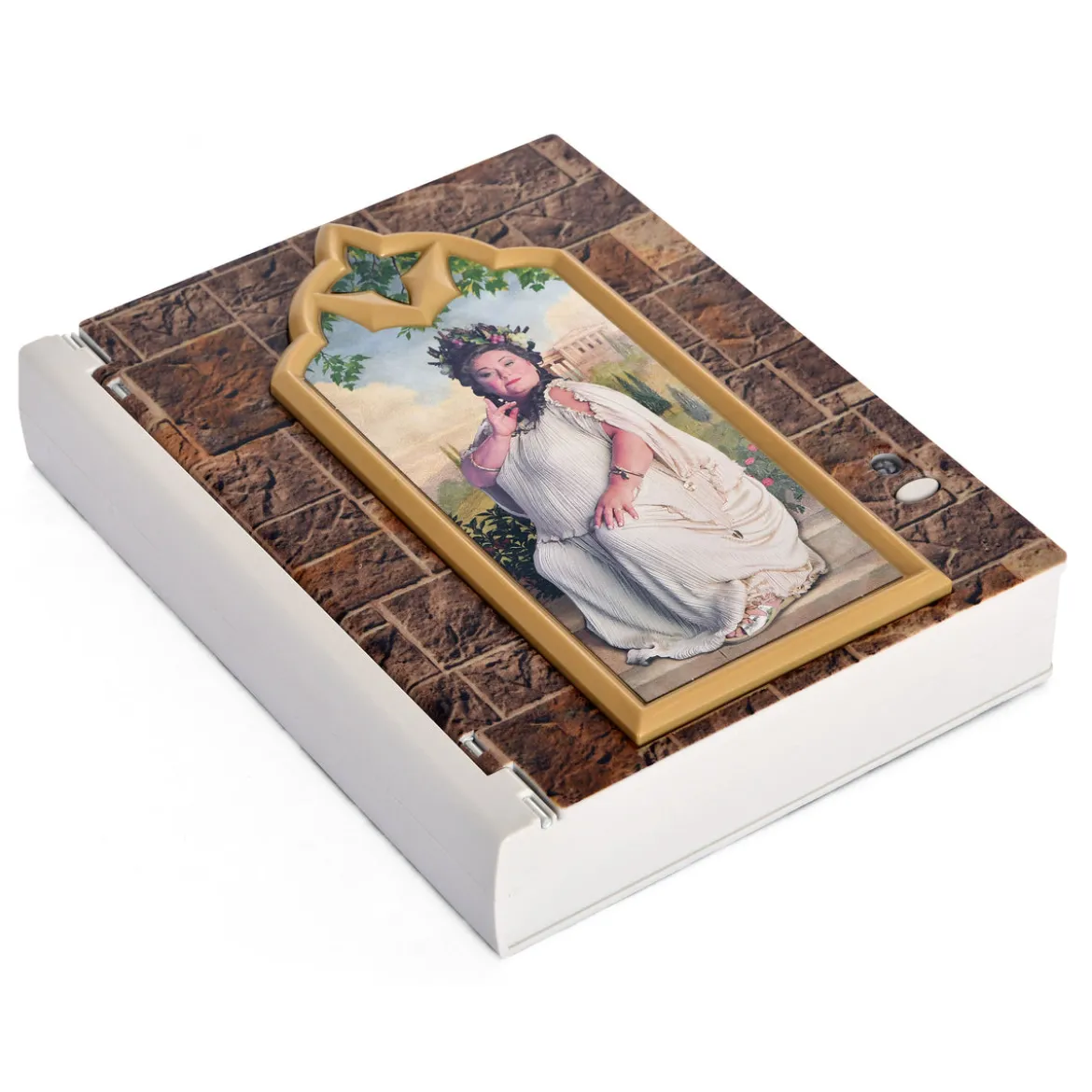 Harry Potter - Fette Dame Box mit Notizblock und Passwort