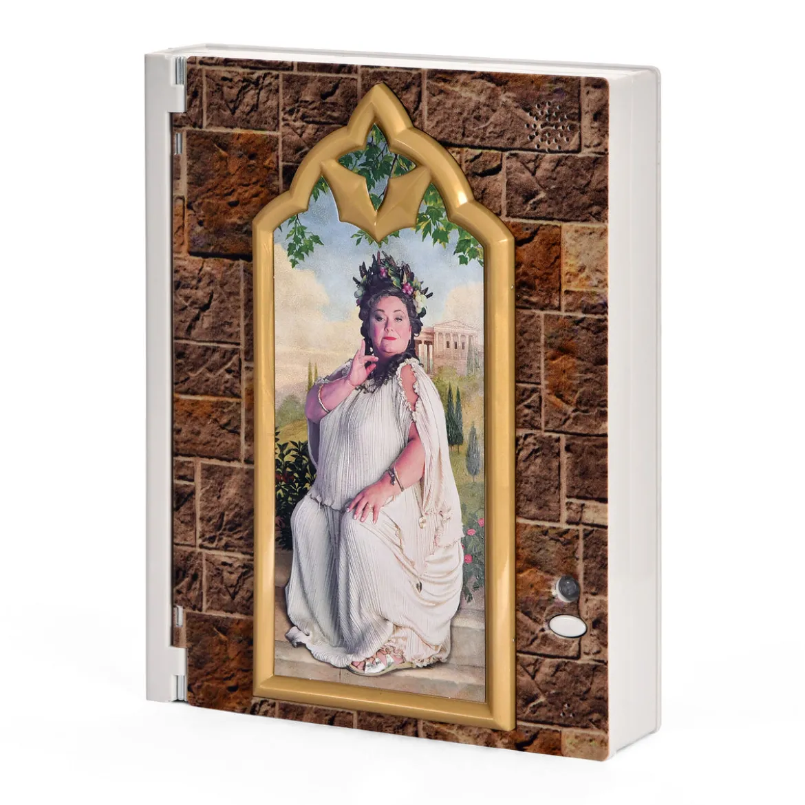 Harry Potter - Fette Dame Box mit Notizblock und Passwort