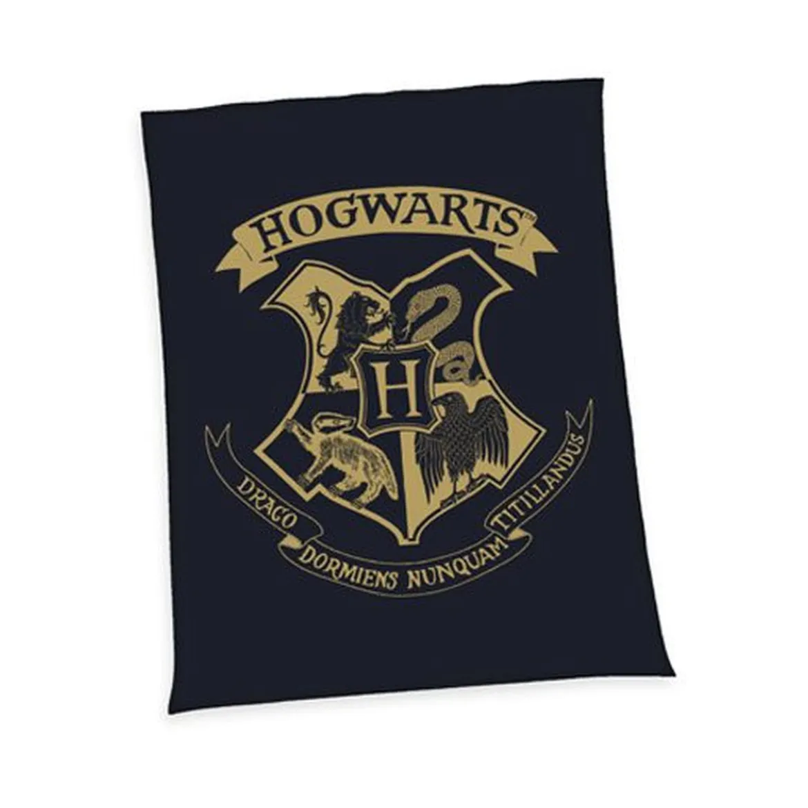 Harry Potter Fleecedecke Hogwarts 150 x 200 cm