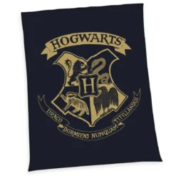 Harry Potter Fleecedecke Hogwarts 150 x 200 cm