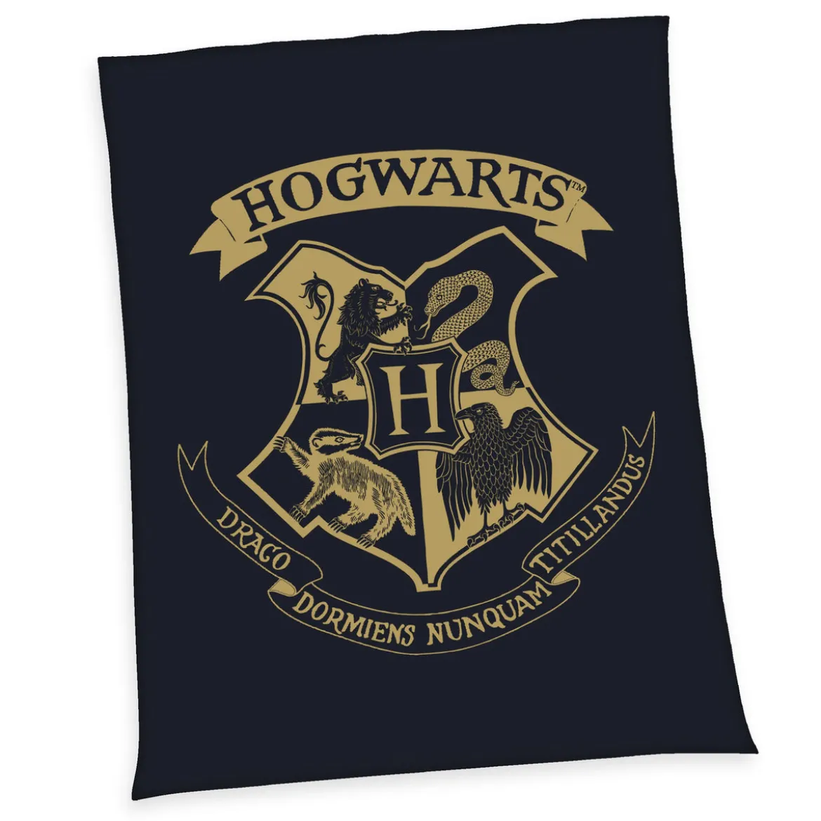 Harry Potter Fleecedecke Hogwarts 150 x 200 cm