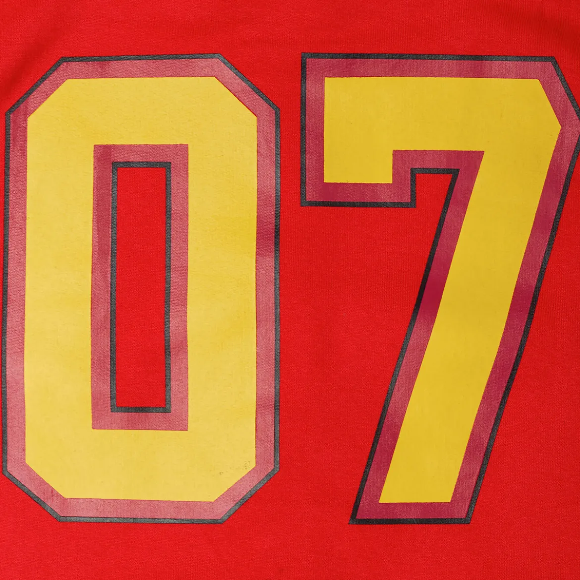 Harry Potter - Gryffindor College Jacke mit Kapuze