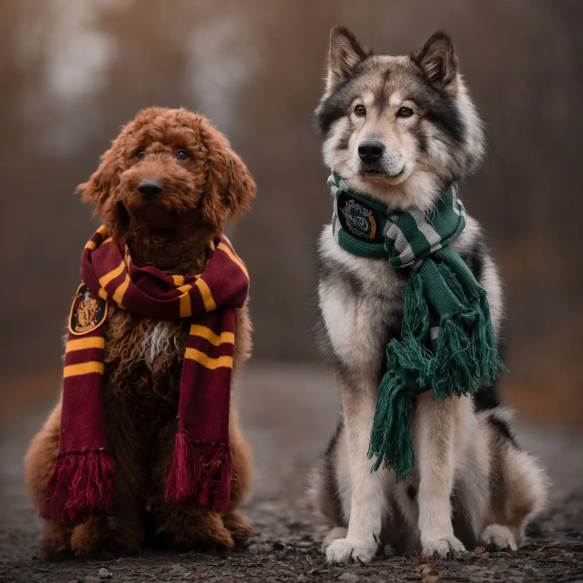 Harry Potter - Gryffindor Strickschal gelb-rot
