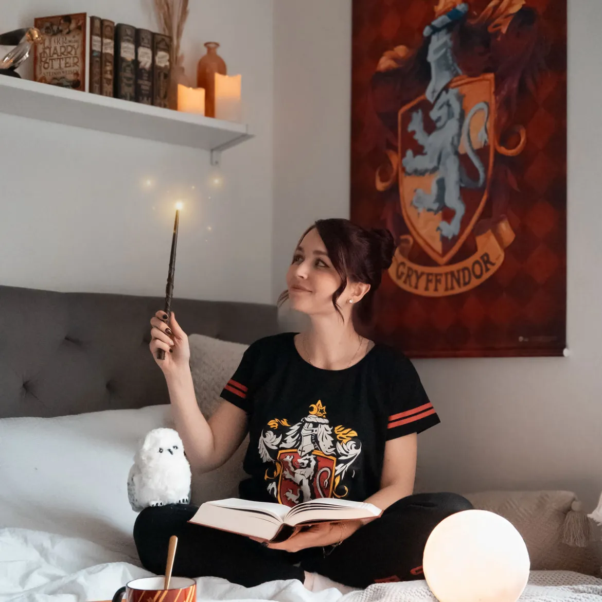 Harry Potter - Gryffindor Wall Scroll