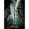 Harry Potter - Harry vs. Voldemort Puzzle