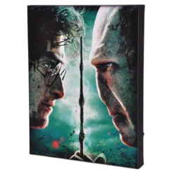 Harry Potter - Harry vs. Voldemort Wandbild mit Licht