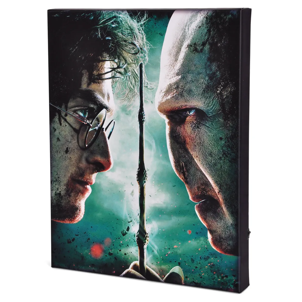 Harry Potter - Harry vs. Voldemort Wandbild mit Licht