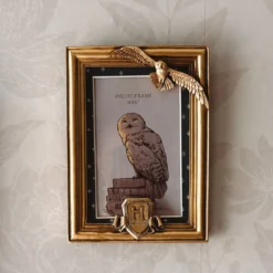 Harry Potter - Hedwig Bilderrahmen