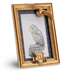 Harry Potter - Hedwig Bilderrahmen