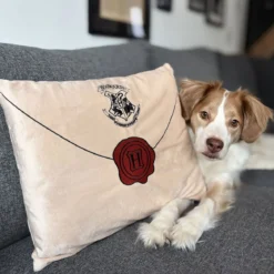 Harry Potter - Hogwarts Brief Kissen