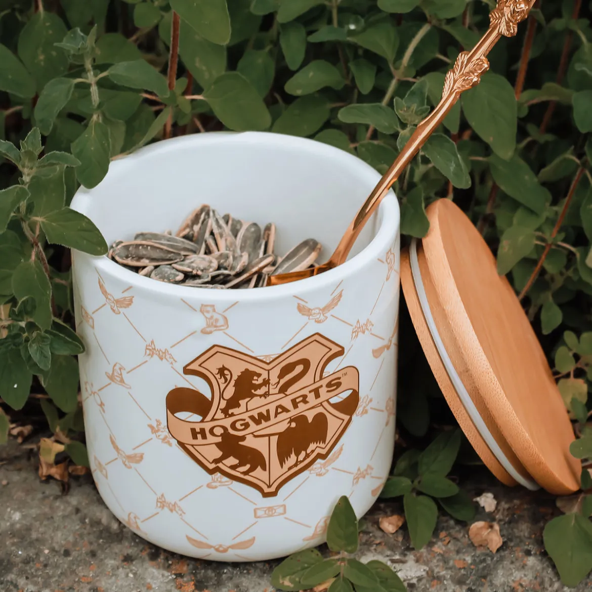Harry Potter - Hogwarts Dose Serein Collection