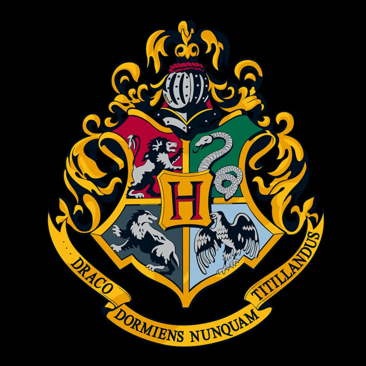 Harry Potter - Hogwarts Hoodie schwarz